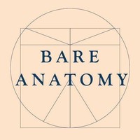Bare Anatomy - Full Stack Developer - PHP-Node.js-MySQL 